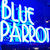 Blue Parrot