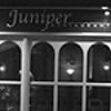 Juniper