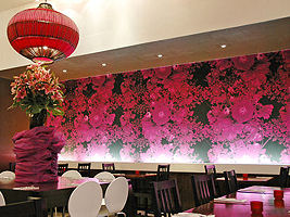 Ning Manchester