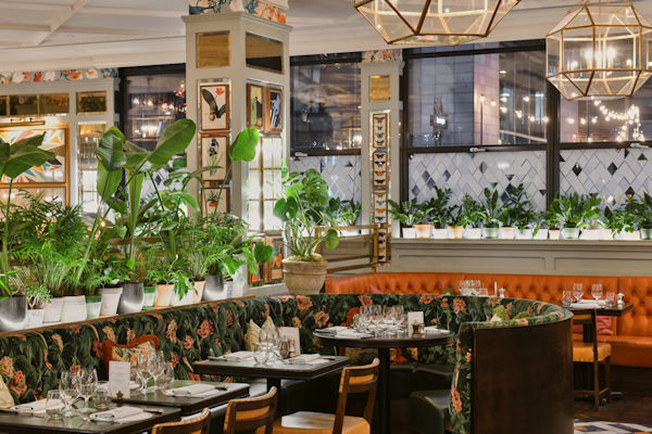 Mother's Day 2024 Offers Restaurants in Manchester - The Ivy Brasserie Manchester 